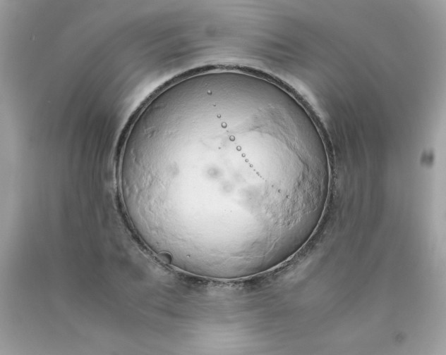 X0000090490887200707272338