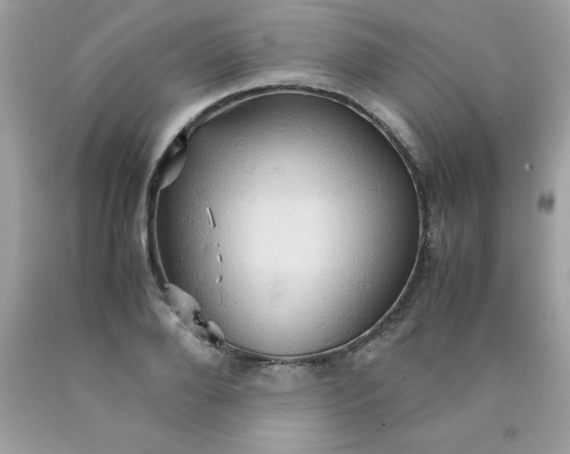X0000090490888200707272338