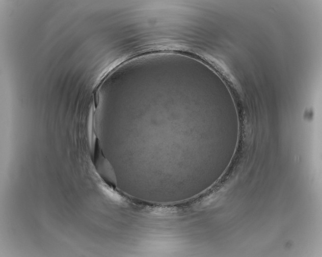 X0000090490889200707272338