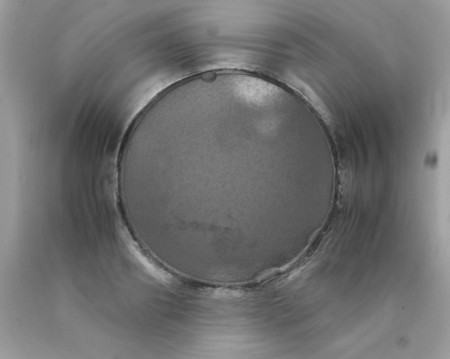 X0000090490890200707272338