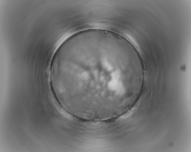 X0000090490891200707272338