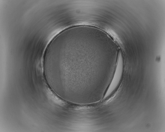 X0000090490892200707272338