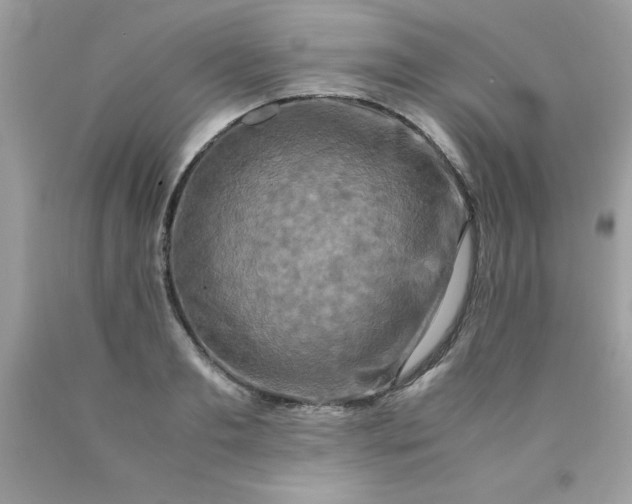 X0000090490893200707272338