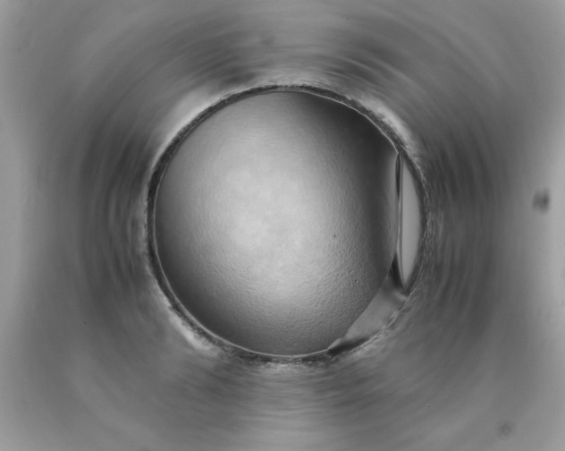 X0000090490894200707272338