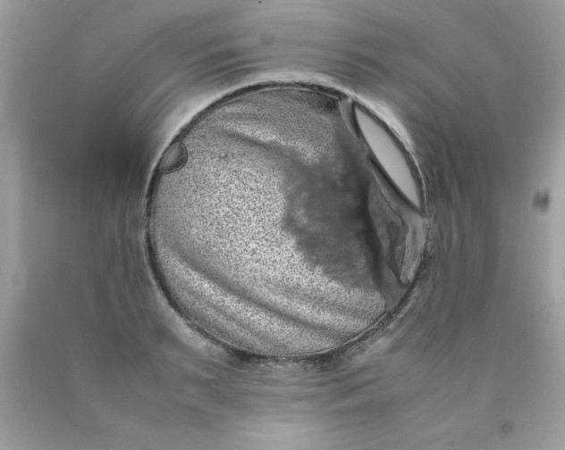 X0000090490895200707272338
