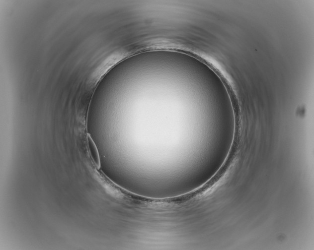 X0000090490897200707272338