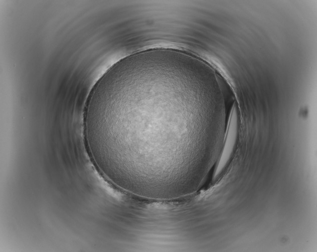 X0000090490898200707272338
