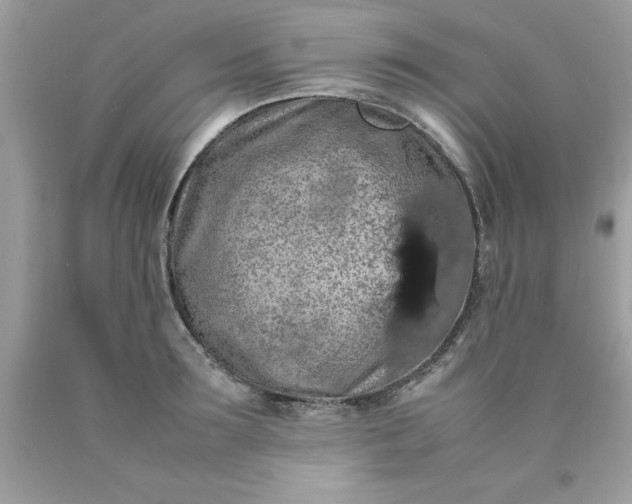 X0000090490899200707272338