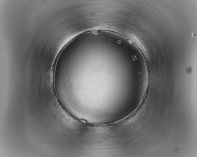 X0000090490900200707272338