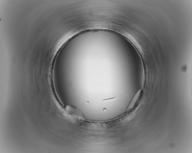 X0000090490901200707272338