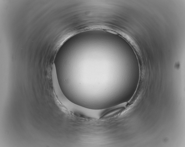 X0000090490905200707272338