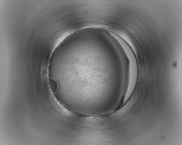 X0000090490906200707272338