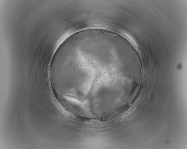 X0000090490907200707272338