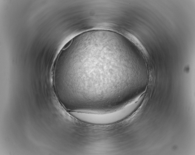 X0000090490908200707272338