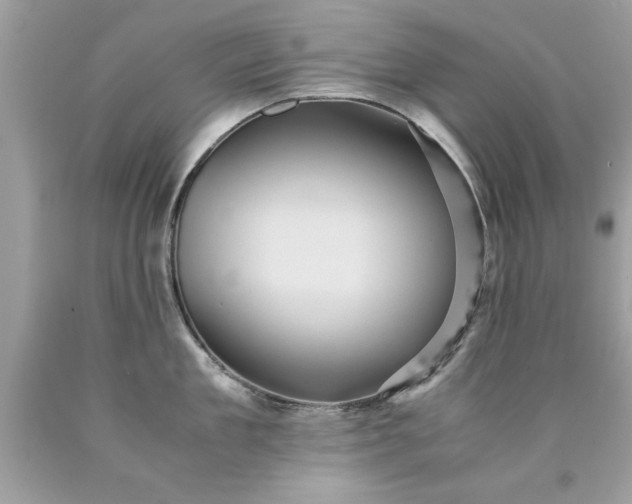 X0000090490909200707272337