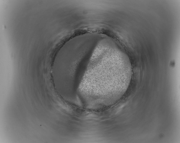 X0000090490913200707272337
