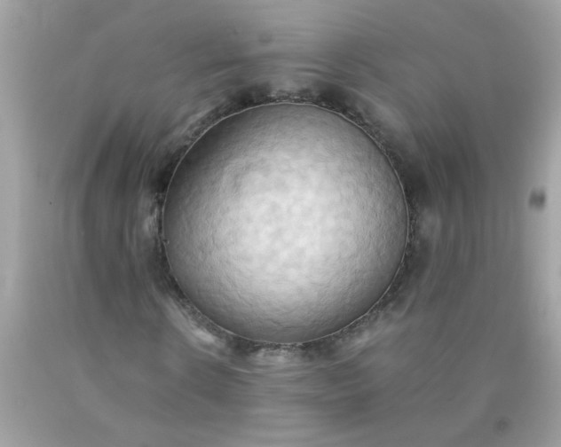 X0000090490914200707272337