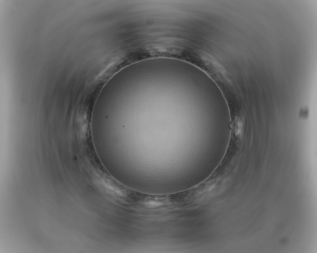 X0000090490915200707272337
