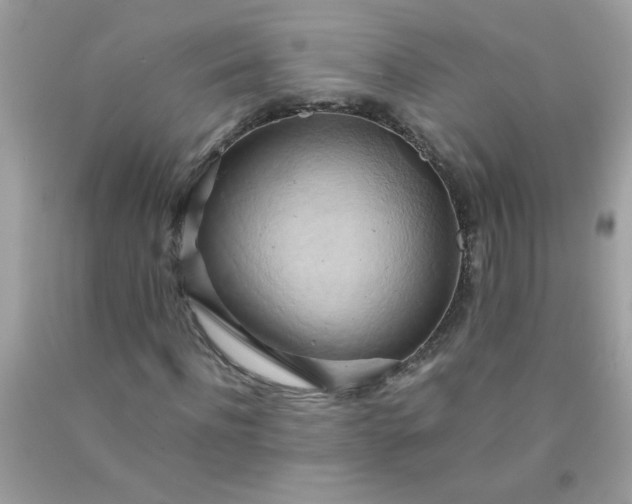X0000090490916200707272337