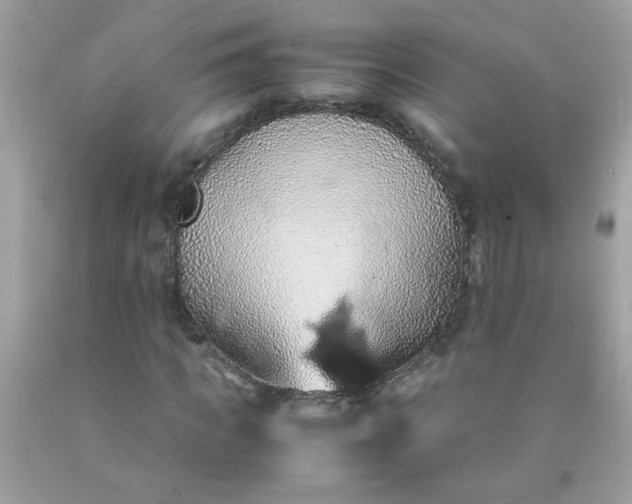 X0000090490917200707272337