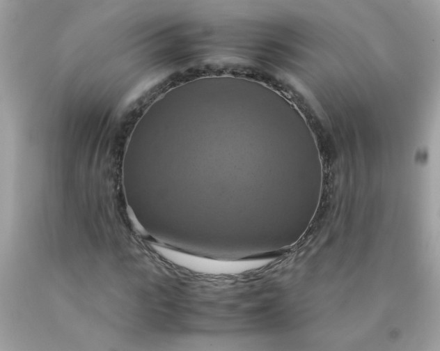 X0000090490919200707272337