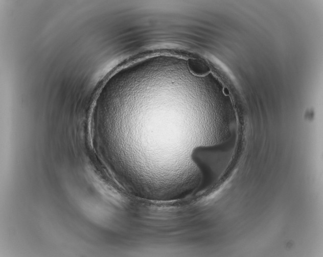 X0000090490921200707272337