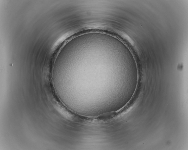 X0000090490922200707272337