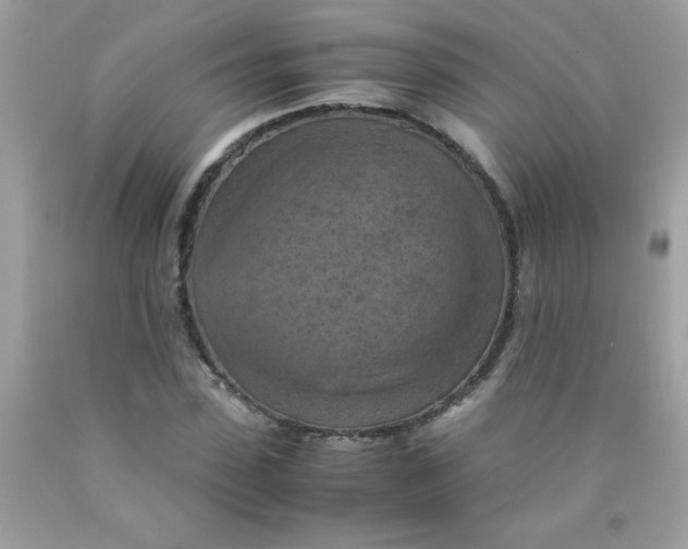 X0000090490923200707272337