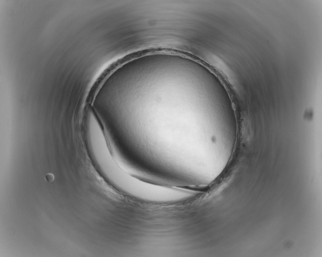X0000090490924200707272337