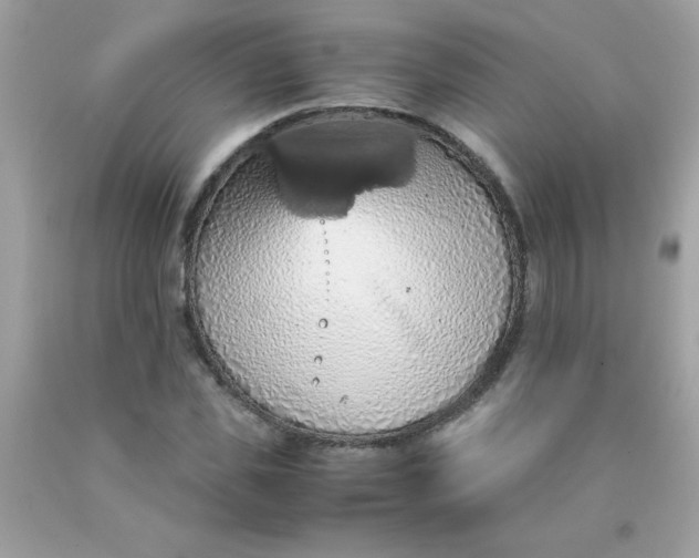 X0000090490925200707272337