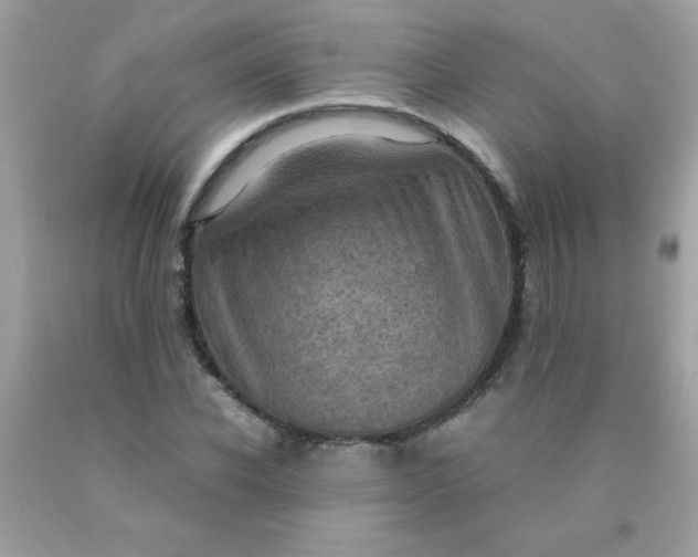 X0000090490926200707272337