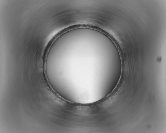 X0000090490927200707272337