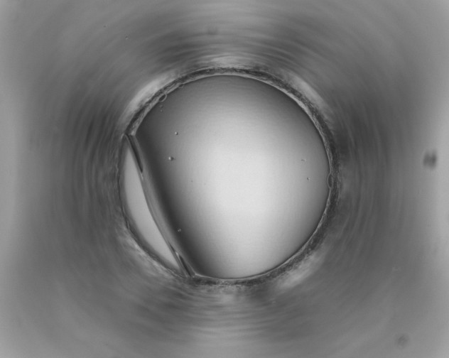 X0000090490930200707272337