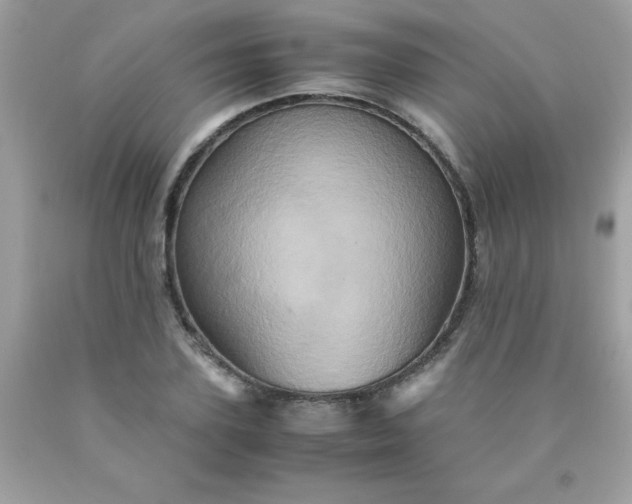 X0000090490931200707272337