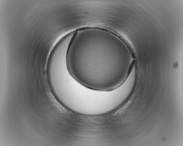 X0000090490932200707272337