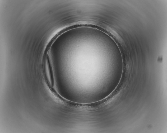 X0000090490934200707272337