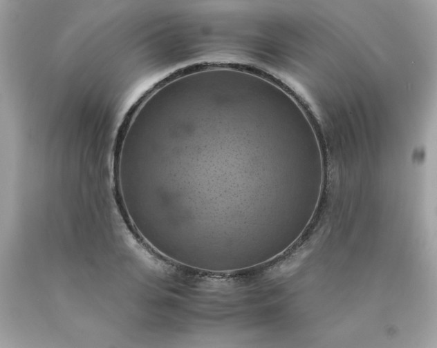 X0000090490935200707272337