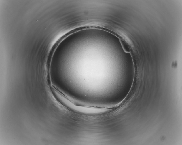 X0000090490936200707272337