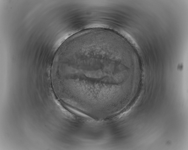 X0000090490937200707272337