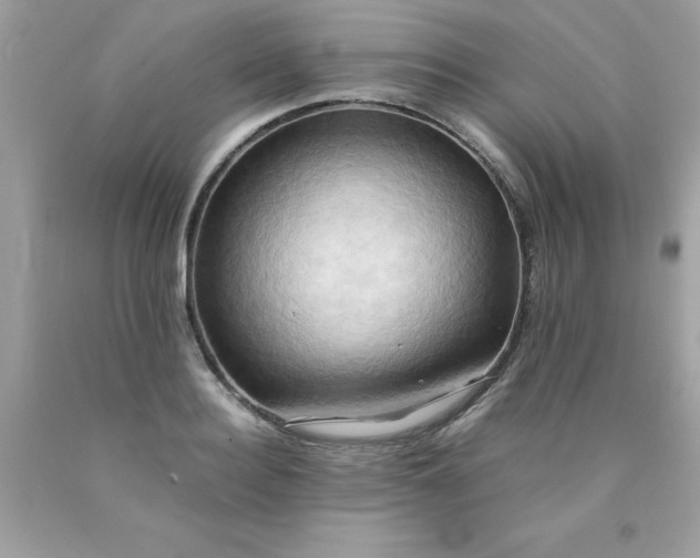 X0000090490940200707272337