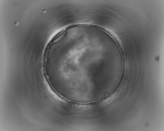 X0000090490941200707272337
