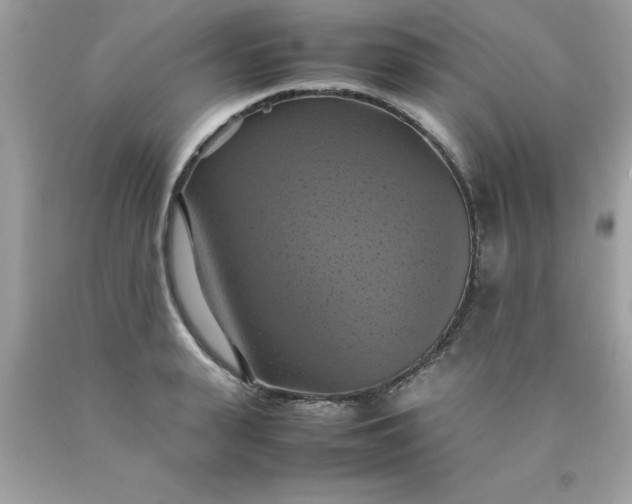 X0000090490943200707272337