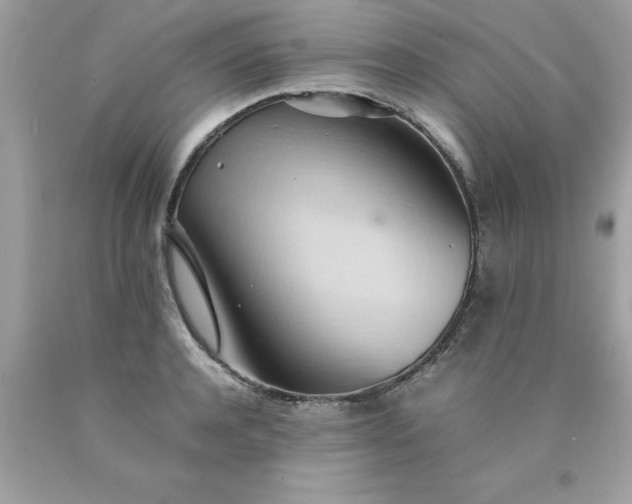 X0000090490944200707272337