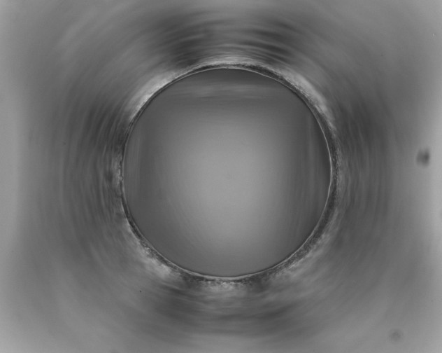 X0000090490945200707272337
