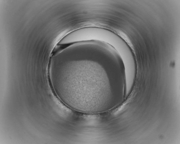 X0000090490946200707272337
