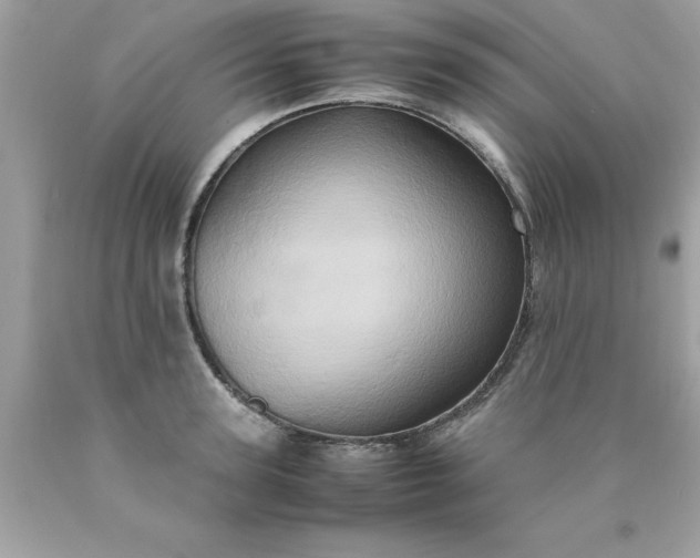 X0000090490947200707272337