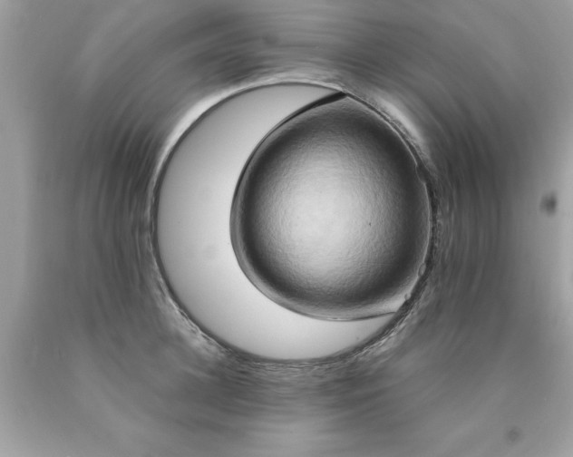 X0000090490948200707272337