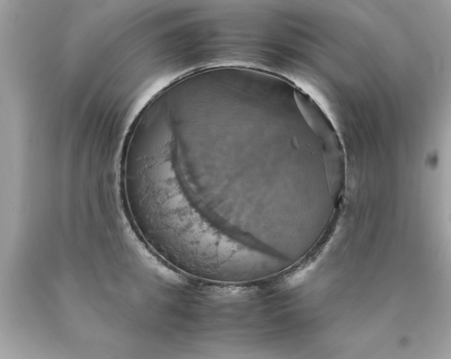 X0000090490949200707272337