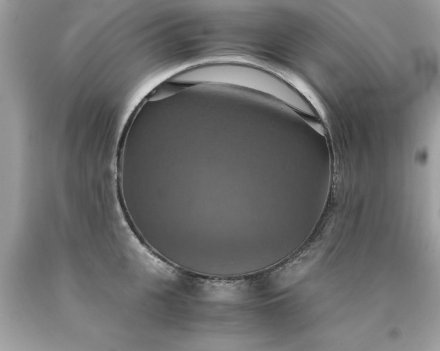 X0000090490951200707272337