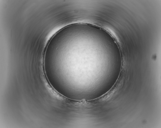X0000090490952200707272337